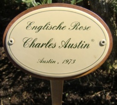 Gartenstecker Rosenstecker "Englische Rose Charles Austin"  Emaille-Schild mit Erdspieß 50 cm