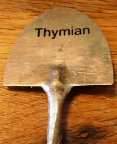Kräuterstecker  Thymian