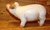 Schwein aus Keramik/Porzellan  Figur Skulptur ca. 19,5x9xH11 cm