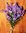Lavendelbund lila 5 Stiele ca. 33 cm