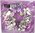 Servietten "Violet wreath" Kranz auf lila  33 x 33 cm
