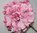 Kunstblume - Hortensien-Stiel cream-pink  D 18,5 /L ca. 48 cm