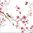 Servietten "Bird & Blossom white" Blütenzweige  25 x 25 cm Ambiente
